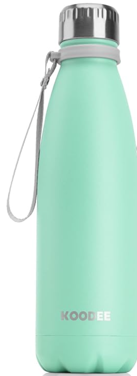 Stainless Steel Water Bottle (500mL/ 17oz)