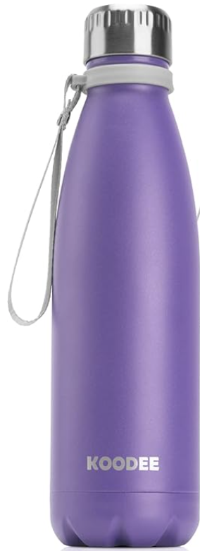 Stainless Steel Water Bottle (500mL/ 17oz)